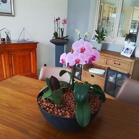 Апартаменти Au Detour Des Orchidees Artannes-sur-Indre Екстер'єр фото
